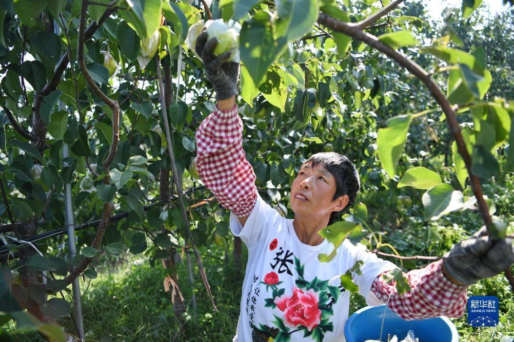 九州网站怎么登录